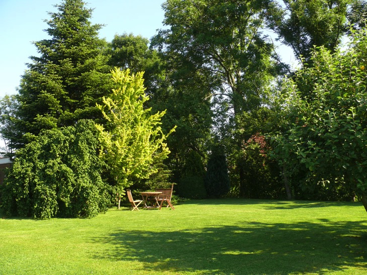 6-Garten1